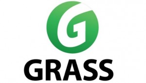 Grass